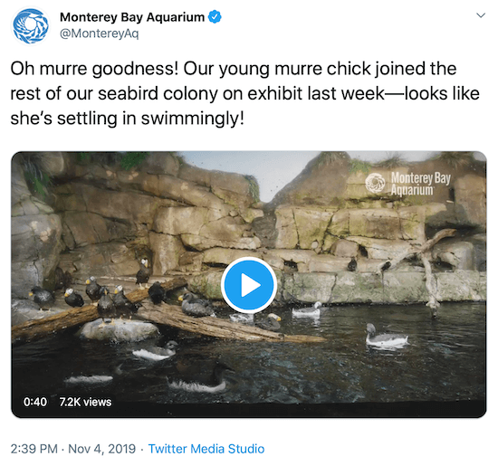 تغريدة من Monterey Bay Aquarium كمثال على صوت الوسائط الاجتماعية للعلامة التجارية