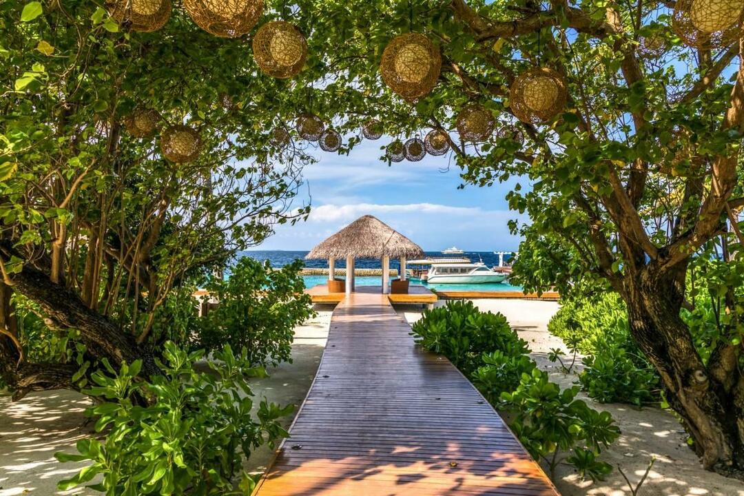 عطلة أحلامك تتحقق في جزر المالديف!