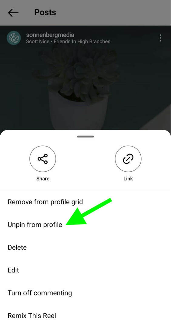 كيفية-instagram-unpin-reels-profile-grid-sonnenbergmedia-step-2