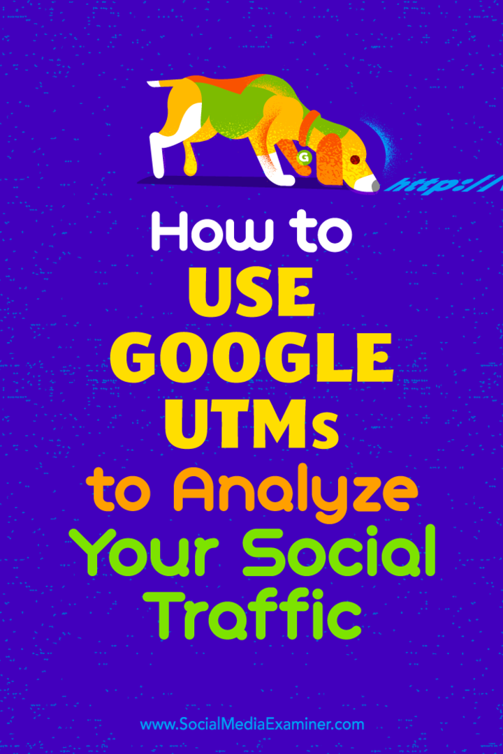 كيفية استخدام Google UTMs لتحليل حركة المرور الاجتماعية الخاصة بك بواسطة Tammy Cannon على ممتحن الوسائط الاجتماعية.