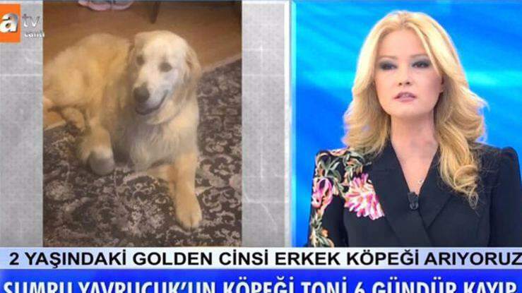 أعلن المقدم Müge Anlı: العثور على كلب الممثلة Sumru Yavrucuk ...