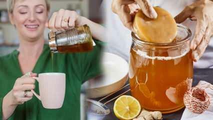 هل يضعف شاي الكمبوتشا؟ كيفية جعل كومبوتشا فقدان الوزن؟ فوائد شاي الكمبوتشا