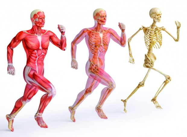 الزنك ضروري لبناء العضلات والعظام القوية