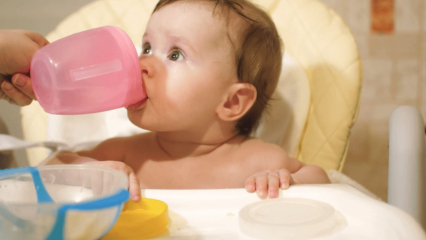 متى يتم إعطاء الأطفال الماء؟ هل يمكن إعطاء الطفل الذي يتغذى من الحليب الصناعي الماء أثناء الانتقال إلى الغذاء التكميلي؟