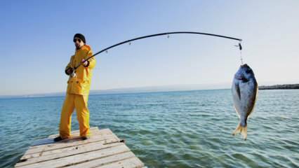 كيف تصطاد؟ ما هي حيل الصيد بقضيب الصيد؟