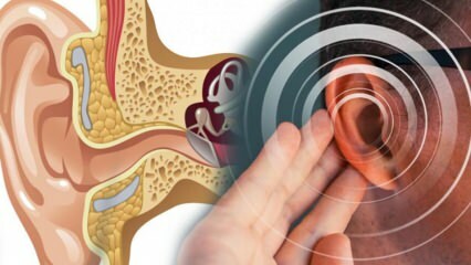 مرض الأذن: ما الذي يسبب مرض الأذن؟ ما هي أعراض مرض منيير؟ هل يوجد علاج؟