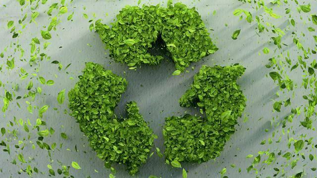 ما هي فوائد استخدام Zero Waste