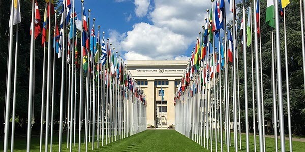 الأمم المتحدة الدولية