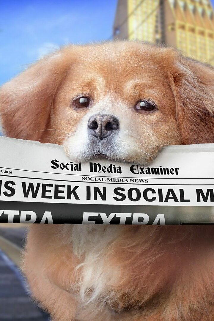 ينشر Facebook Live استهداف الجمهور: هذا الأسبوع في وسائل التواصل الاجتماعي: ممتحن وسائل التواصل الاجتماعي