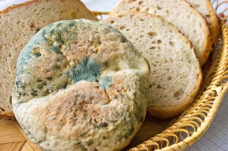طرق لمنع الخبز من التعفن والعفن