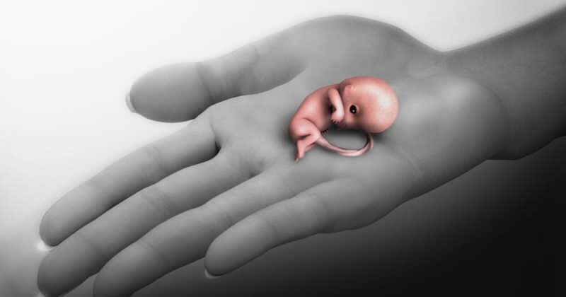 ما هو الإجهاض؟ أعراض الإجهاض أثناء الحمل