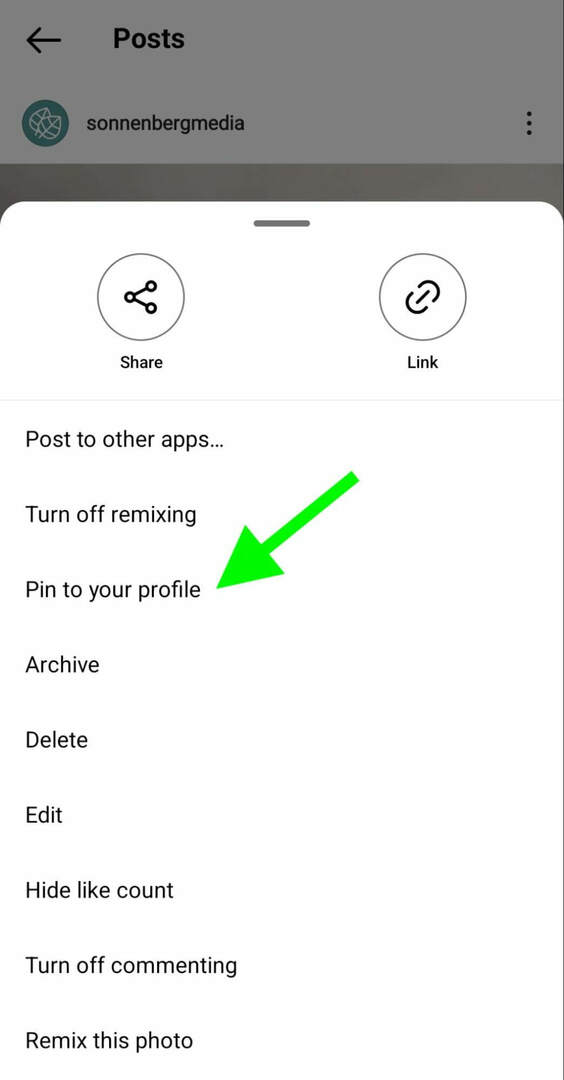 كيف-إلى-instagram-pin-posts-profile-grid-sonnenbergmedia-step-1