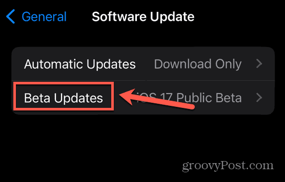 تحديثات iphone beta