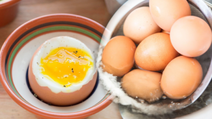 ما هي فوائد البيض المسلوق؟ إذا كنت تأكل بيضتين مسلوقتين يوميًا ...