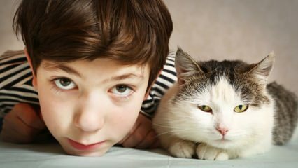 ما هو تأثير الحيوانات الأليفة على الأطفال؟