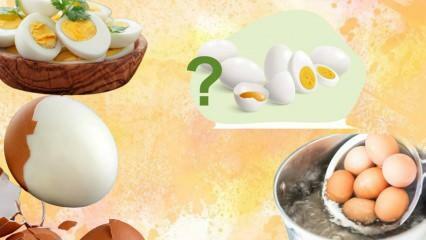 حمية البيض المسلوق! هل تجعلك البيضة ممتلئة؟ 12 كيلو في الأسبوع 