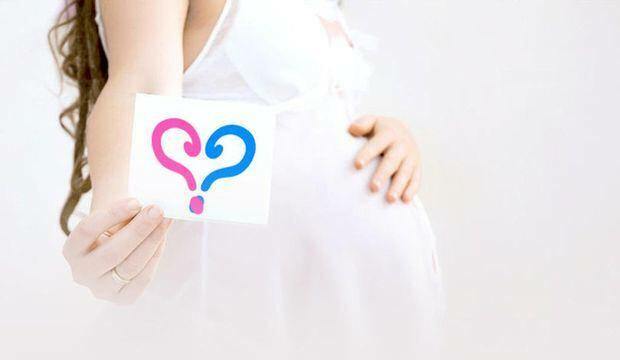 كيف نفهم جنس الجنين؟