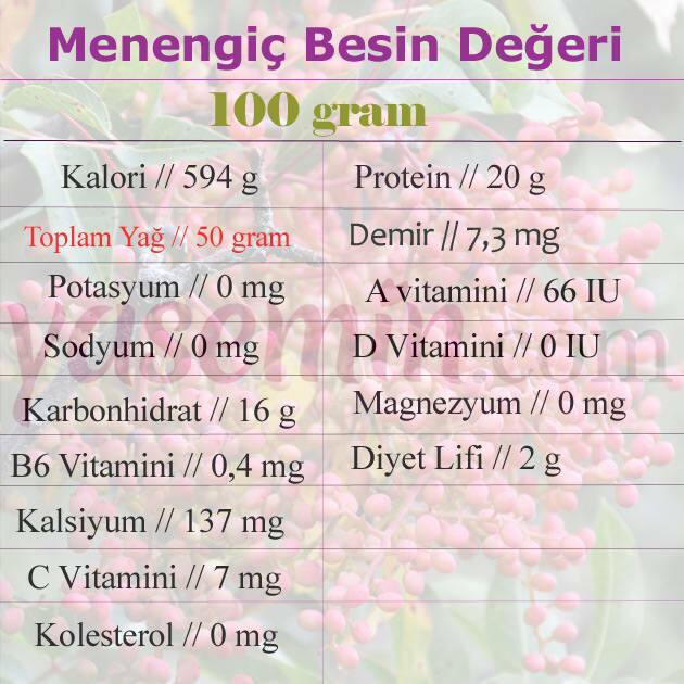 القيمة الغذائية لل menengiç 