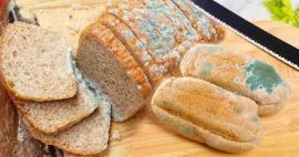 كيف نمنع تشكيل الخبز في رمضان؟ طرق لمنع الخبز من التعفن والعفن