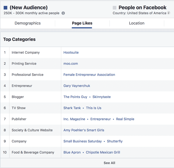 إعجابات الصفحة لجمهور قائم على الاهتمامات في Facebook Ads Manager.
