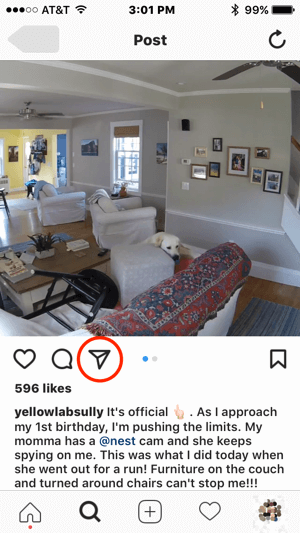 إذا أراد Nest الاتصال بمستخدم Instagram هذا للحصول على إذن لاستخدام المحتوى الخاص به ، فيمكنه بدء الاتصال من خلال النقر على أيقونة الرسالة المباشرة.