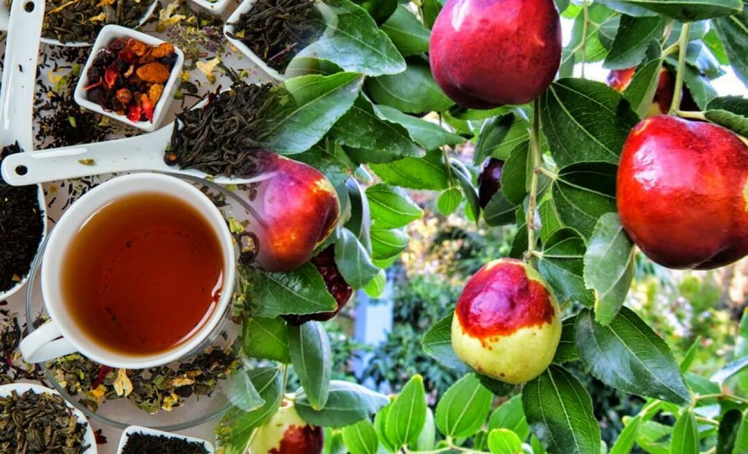 ما هي فوائد شاي العناب التي أوصى بها ابن سينا؟ ما فائدة شاي العناب؟