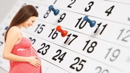 هل تتم الولادة الطبيعية في حمل توأم؟