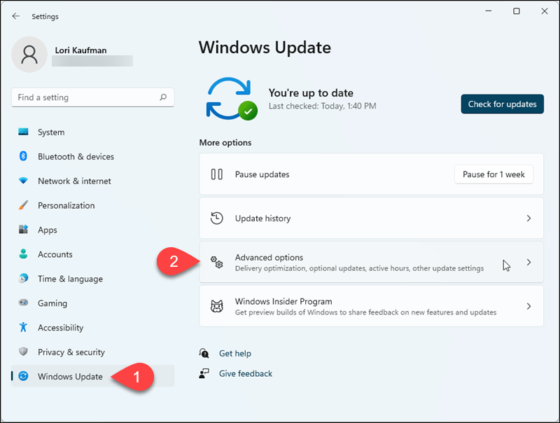 انتقل إلى Windows Update> خيارات متقدمة في إعدادات Windows 11