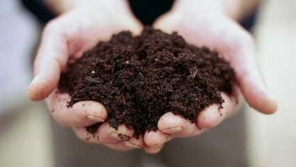 كيف تمنع صب التربة في أصيص؟
