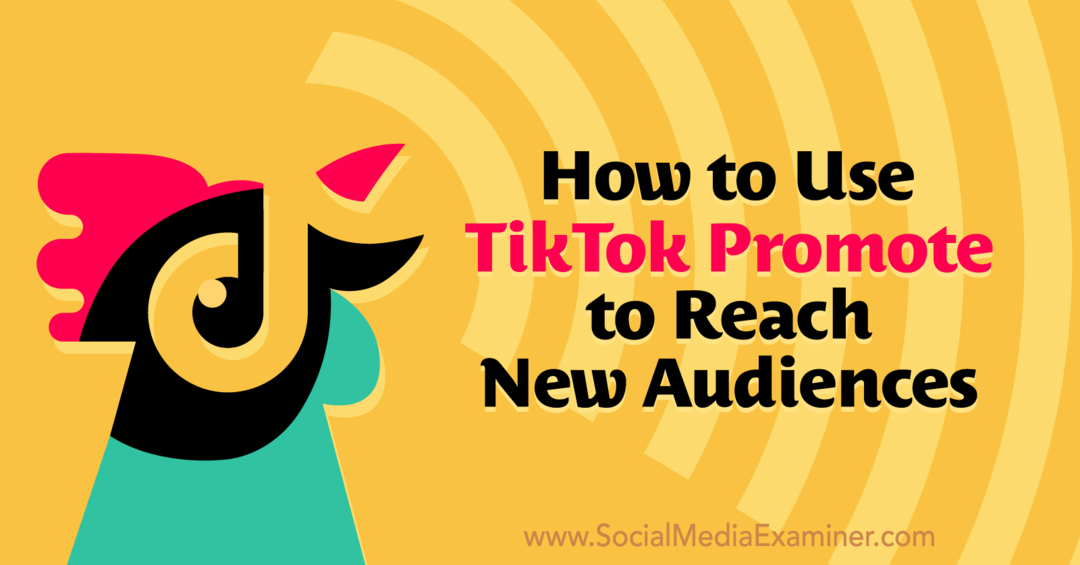 كيفية استخدام TikTok Promote للوصول إلى جماهير جديدة في ممتحن وسائل التواصل الاجتماعي.
