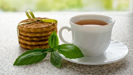 ما هي فوائد الريحان؟ اين يستخدم الريحان؟ كيف تصنع شاي الريحان؟