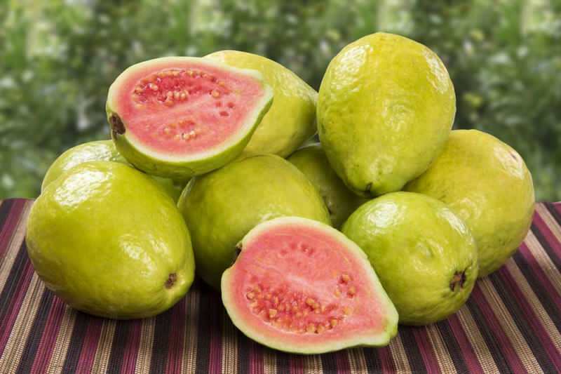 تمر فاكهة الجوافة مثل الفراولة 