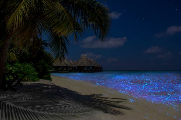 جزر المالديف فادهو