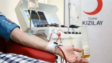 أين وكيف يتم التبرع بالدم؟ ما هي شروط التبرع بالدم