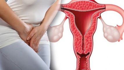 ما هو سماكة جدار الرحم؟ كم يجب أن يكون سمك جدار الرحم أثناء الحمل؟