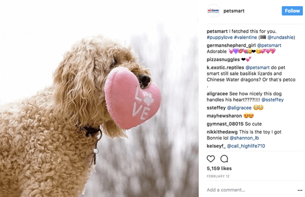 عندما تعيد PetSmart مشاركة صور المستخدم على Instagram ، فإنها تمنح رصيد الصورة إلى الملصق الأصلي في التسمية التوضيحية.