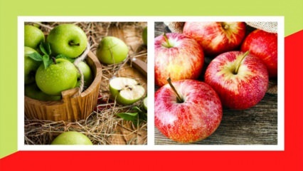 هل سيزداد وزن التفاح الأخضر والأحمر؟ التخسيس مع التخلص من سموم التفاح الأخضر المتورم