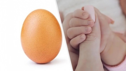 بيضة تحطم الرقم القياسي مع 28 مليون إعجاب