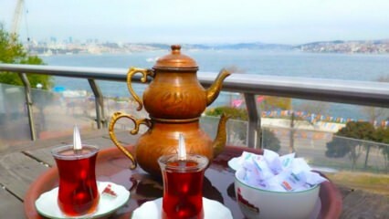 حدائق الشاي العائلية على الجانب الأوروبي من اسطنبول