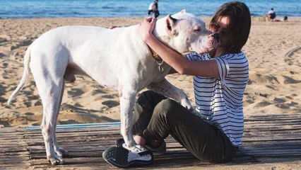 الممثلة الشابة ألينا بوز توديع كلبها الميت! من هي ألينا بوز؟