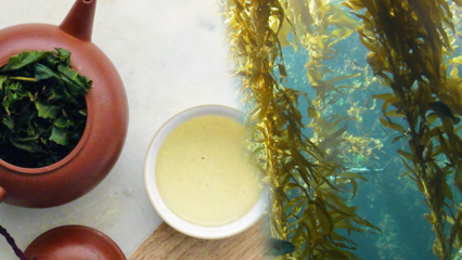 ما هي فوائد الطحالب؟ كيف تصنع شاي الأعشاب البحرية وما هي فوائده؟