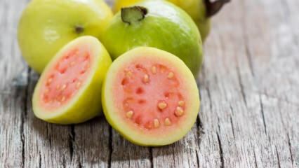 ما هي فاكهة الجوافة؟ ما هي الفوائد؟