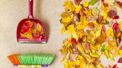 طرق عملية لتنظيف الخريف