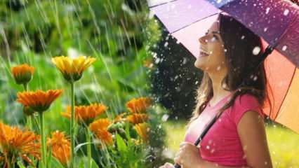 هل أمطار أبريل شفاء؟ ما هي الصلوات التي يجب قراءتها في مياه الأمطار؟ فوائد أمطار أبريل
