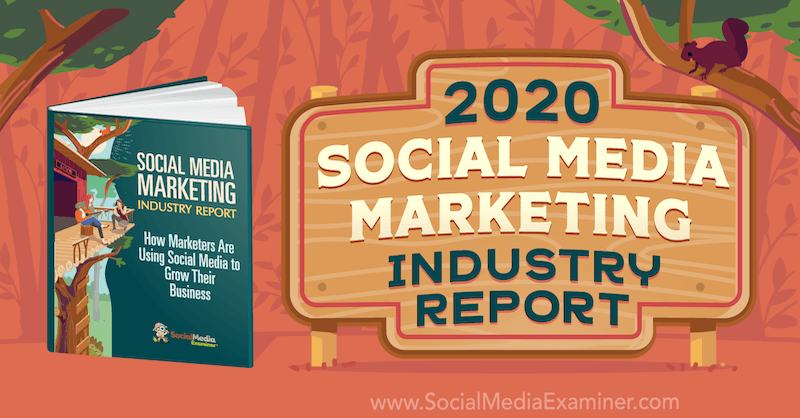 2020 تقرير صناعة التسويق عبر وسائل التواصل الاجتماعي بقلم مايكل ستيلزنر حول ممتحن وسائل التواصل الاجتماعي.