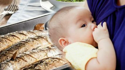 هل يمكن أكل السمك أثناء الرضاعة؟