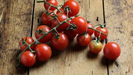 كيفية منع تعفن الطماطم؟ كيفية منع فراشة الطماطم؟ 