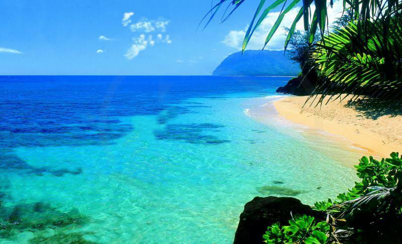 شاطئ هاواي وايكيكي