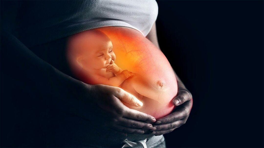 كيف يرضع الطفل في الرحم من أمه