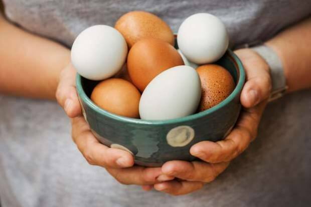 كيف يتم تحليل البيض العضوي؟